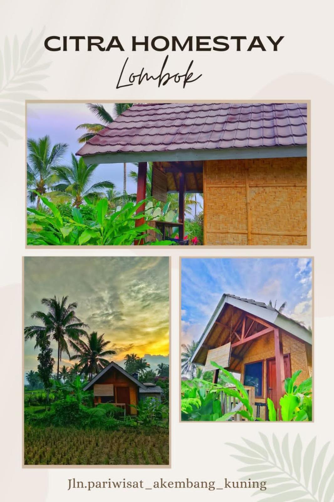 Citra Homestay Tetebatu Exterior photo