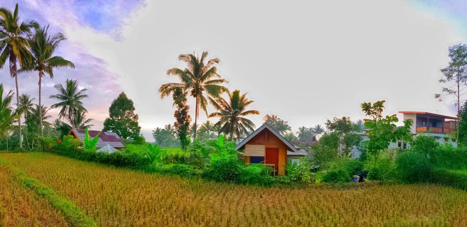 Citra Homestay Tetebatu Exterior photo
