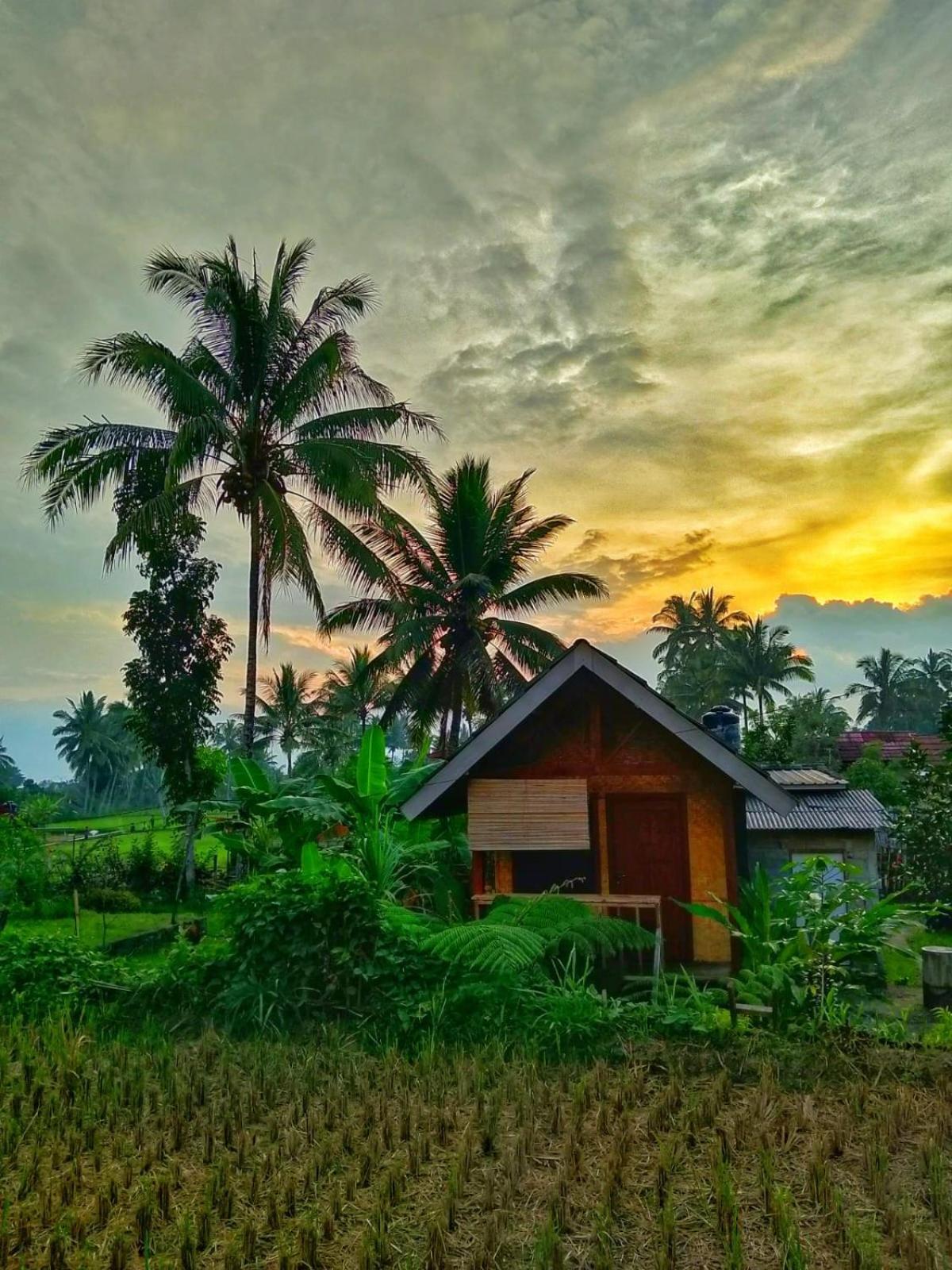 Citra Homestay Tetebatu Exterior photo