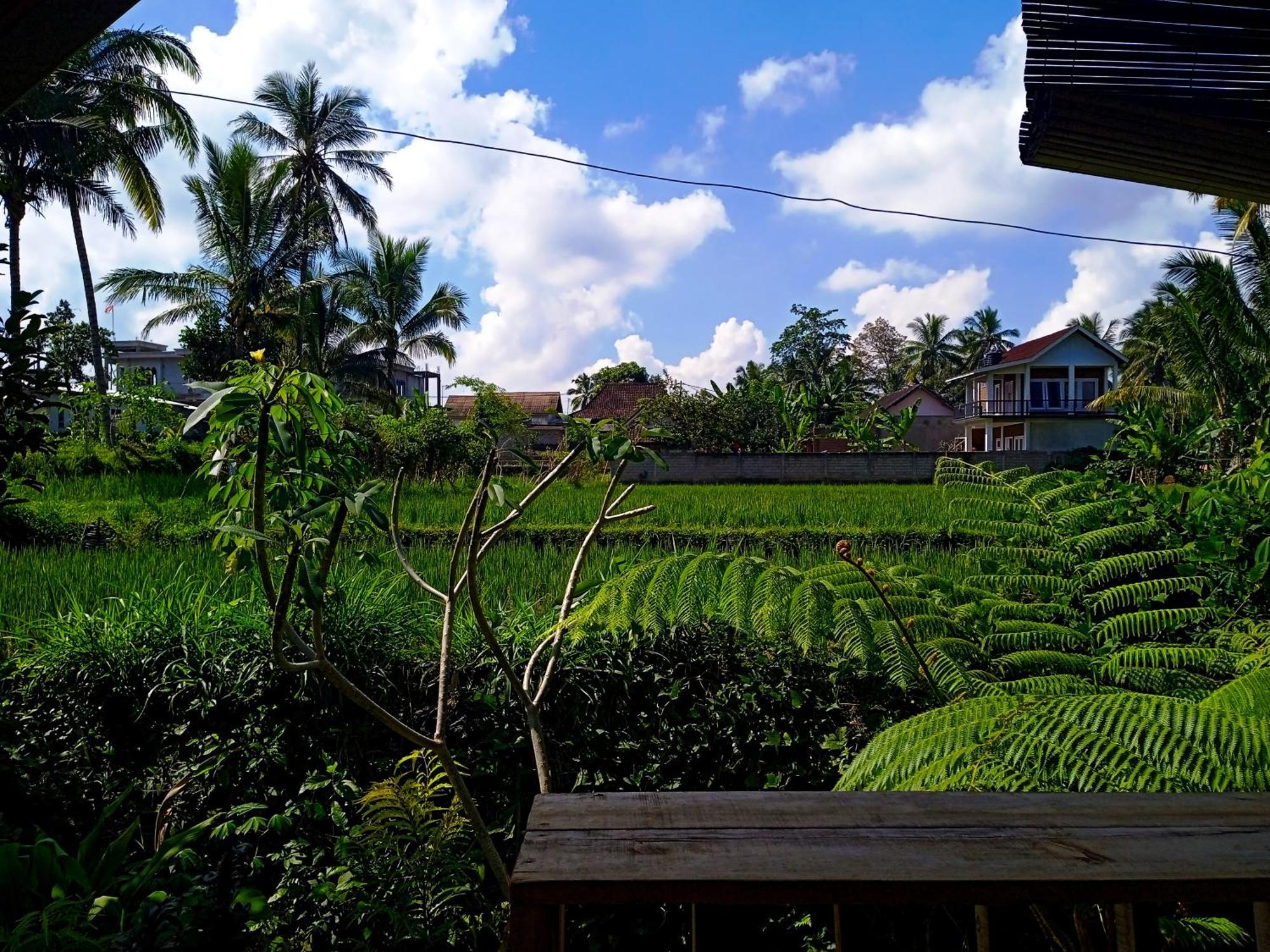 Citra Homestay Tetebatu Exterior photo
