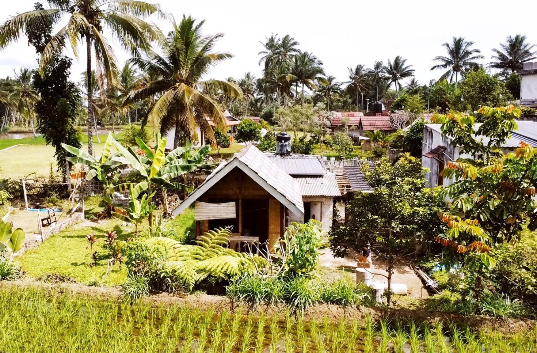 Citra Homestay Tetebatu Exterior photo