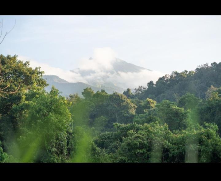 Citra Homestay Tetebatu Exterior photo