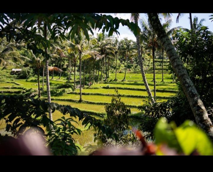 Citra Homestay Tetebatu Exterior photo