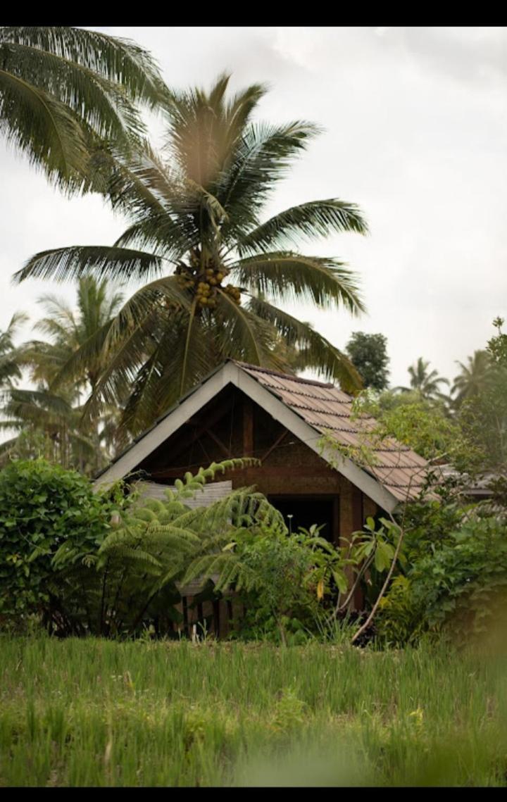 Citra Homestay Tetebatu Exterior photo